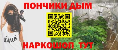 ECSTASY Новозыбков