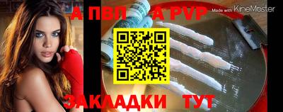 ECSTASY Новозыбков