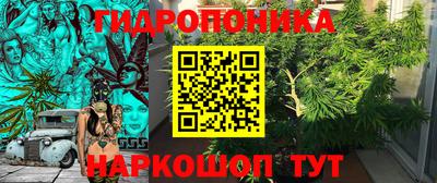 шишки Новокубанск