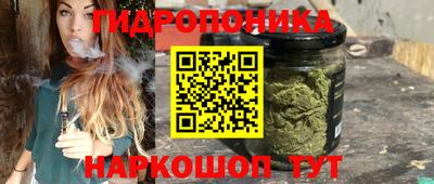 герыч Новодвинск