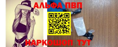 ECSTASY Новозыбков