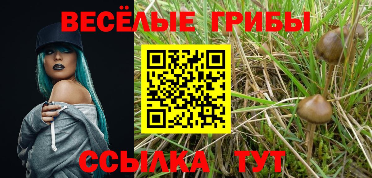 Псилоцибиновые грибы GOLDEN TEACHER Саратов