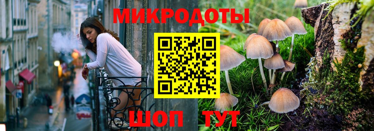 купить наркотики сайты  Псилоцибиновые грибы Psilocybe  Вход с VPN  Саратов 